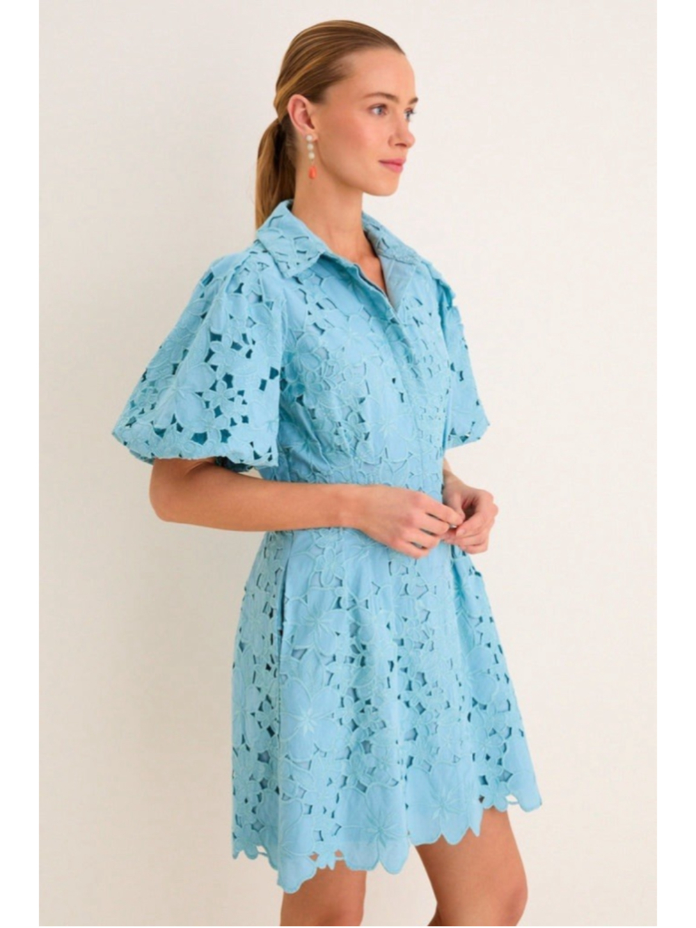 Tuckernuck Cameo Blue Collar Eyelet Mini Delaney Dress L Puff Sleeves Scallop - Picture 4 of 12
